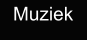 Muziek
